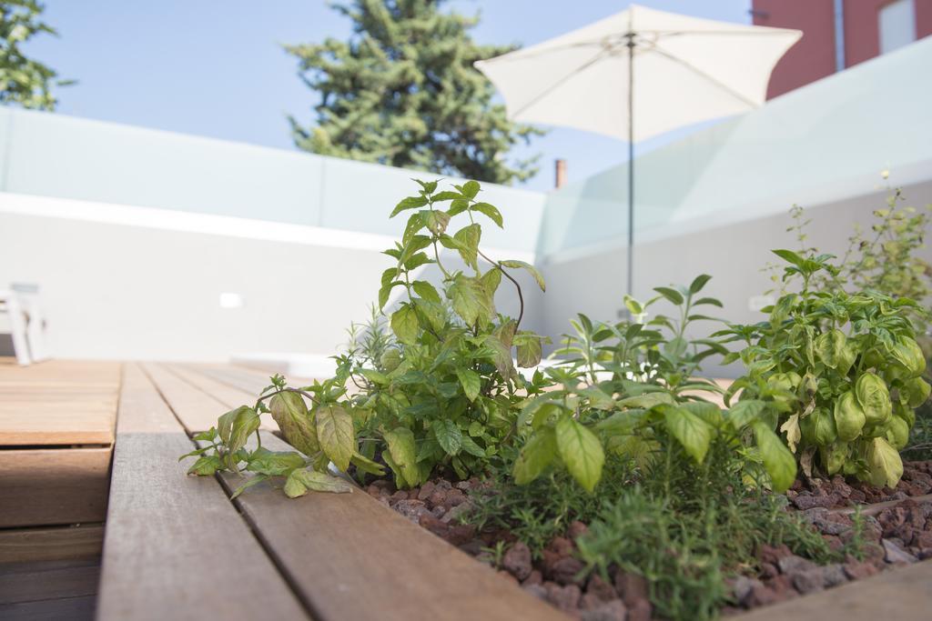 Villa Danex Premium Umag Exterior photo
